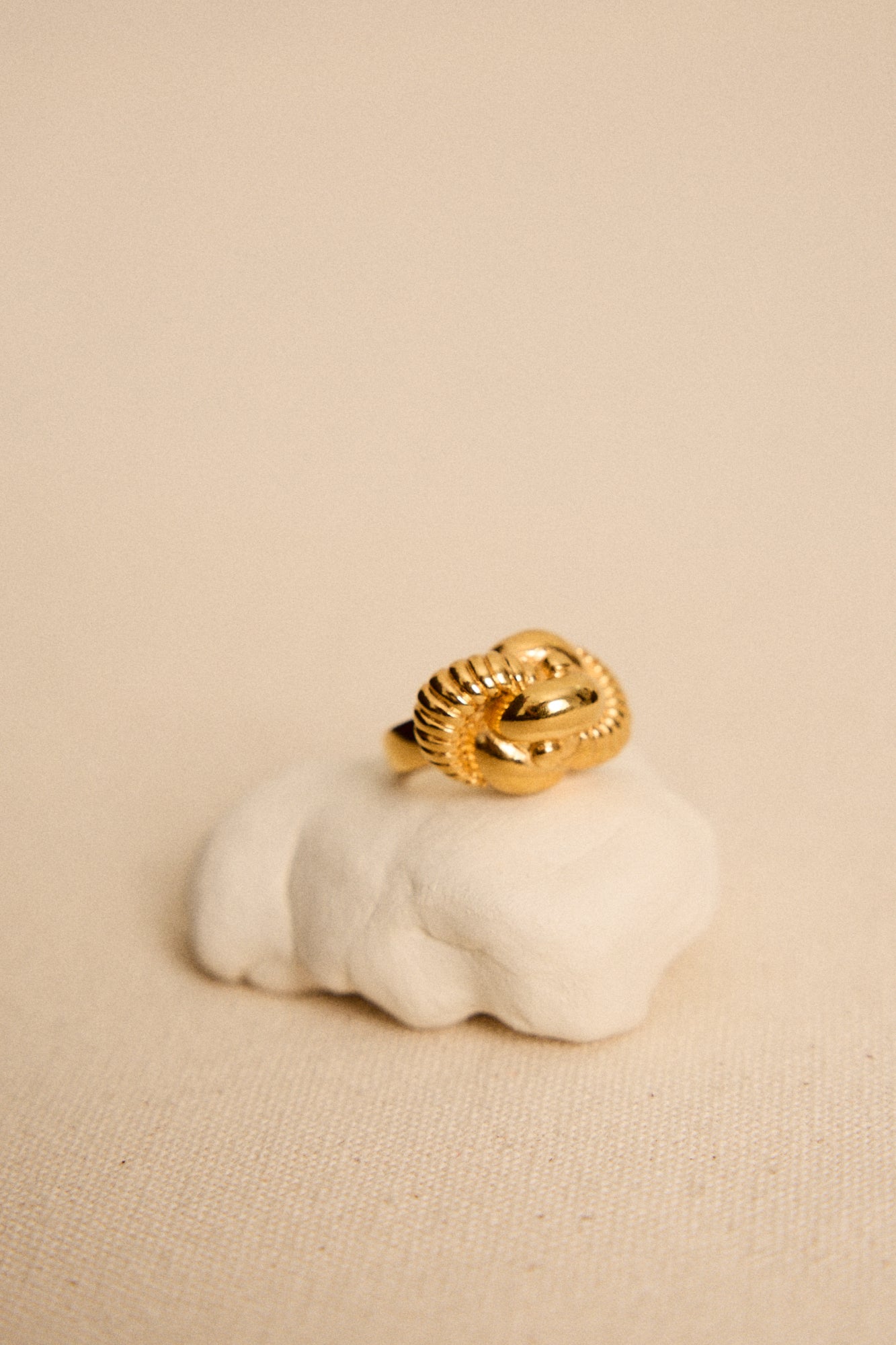 ANILLO MOLÍ