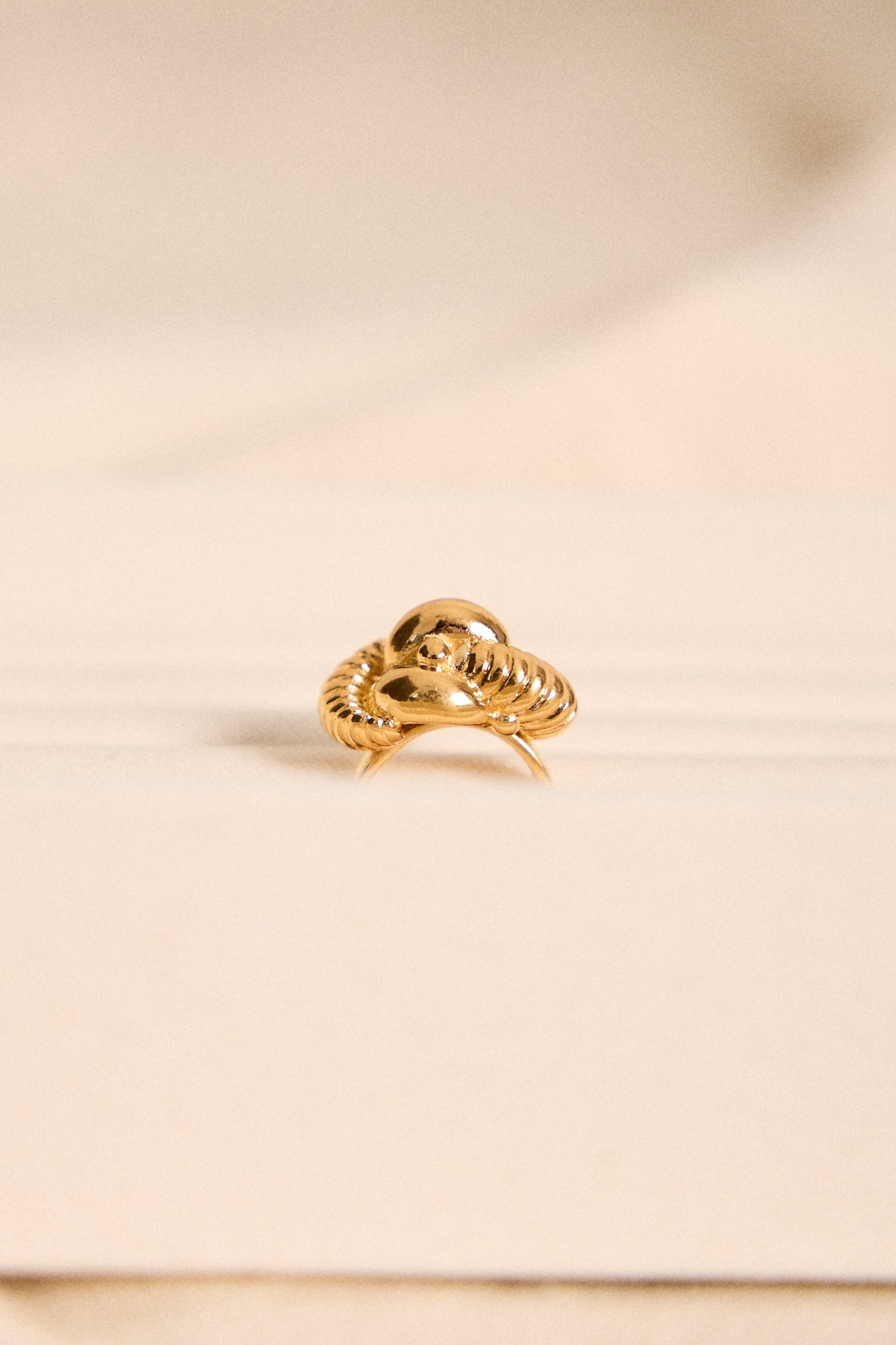 ANILLO MOLÍ