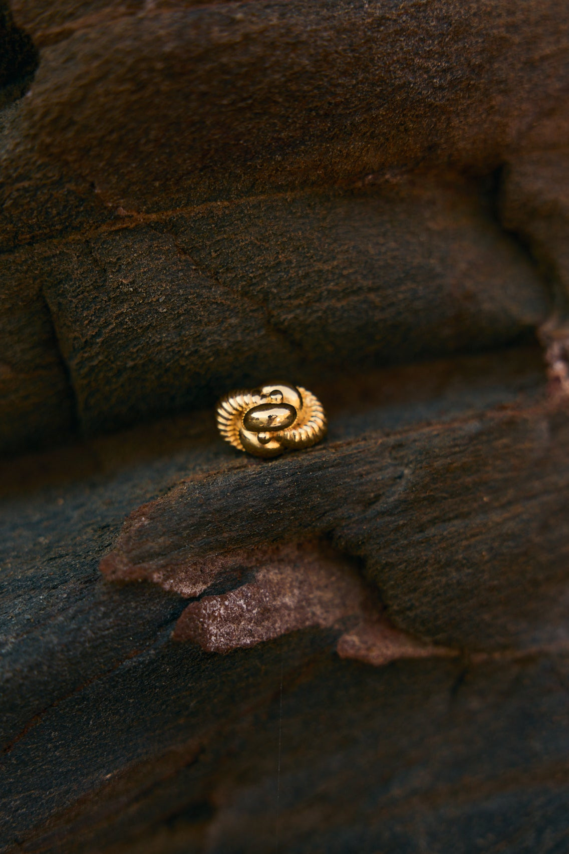 ANILLO MOLÍ