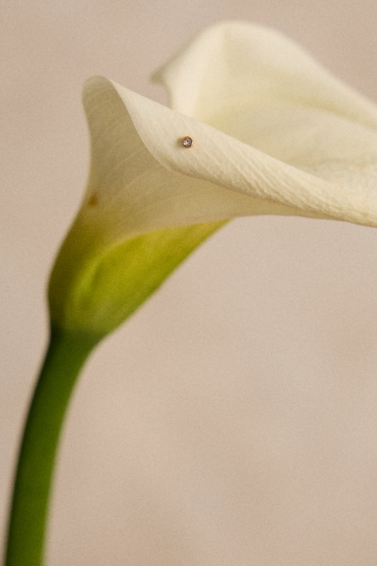 PIERCING NUIT D´OR - Especial novias